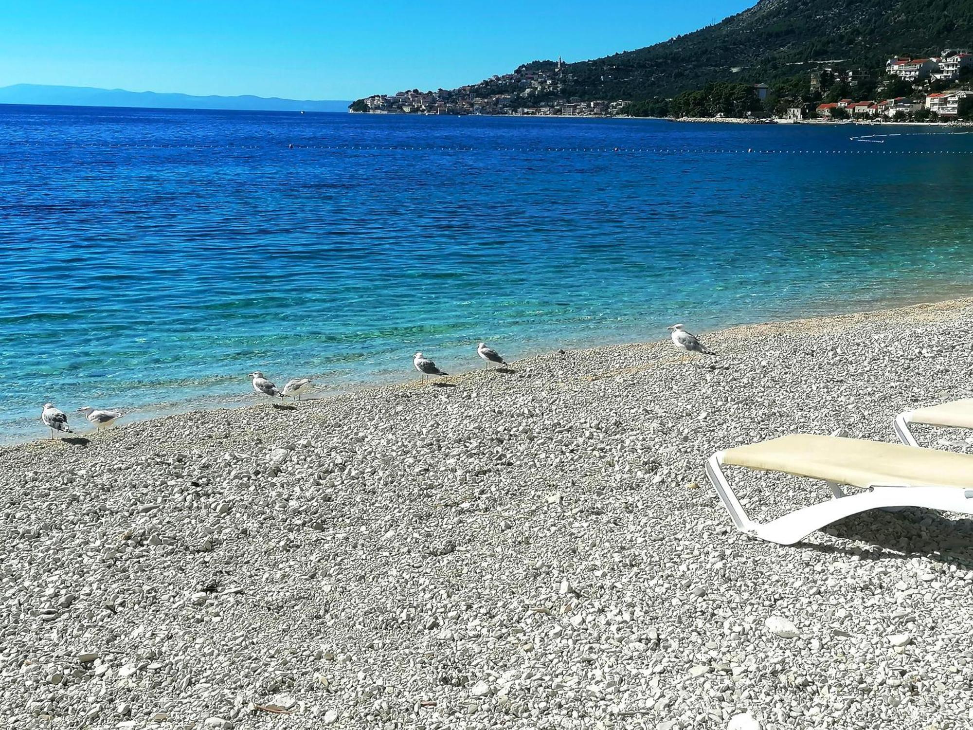 Anita Apartments Živogošće Buitenkant foto